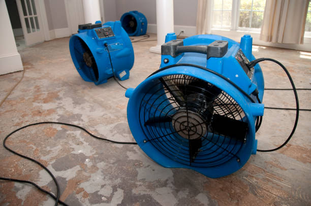 Trusted Water Damage Restoration in Norfolk, NE | Fast, Reliable, and Ready to Assist You